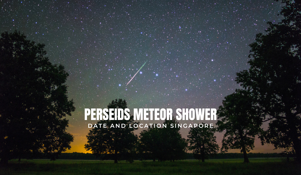 Perseids Meteor Shower may be Seen in Singapore on 12 & 13 Aug
